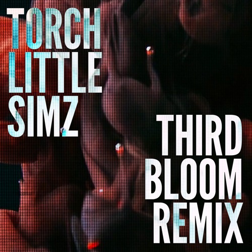 Torch - Little Simz (Third Bloom Remix)