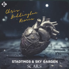 Scars (Chris Boddington Remix)
