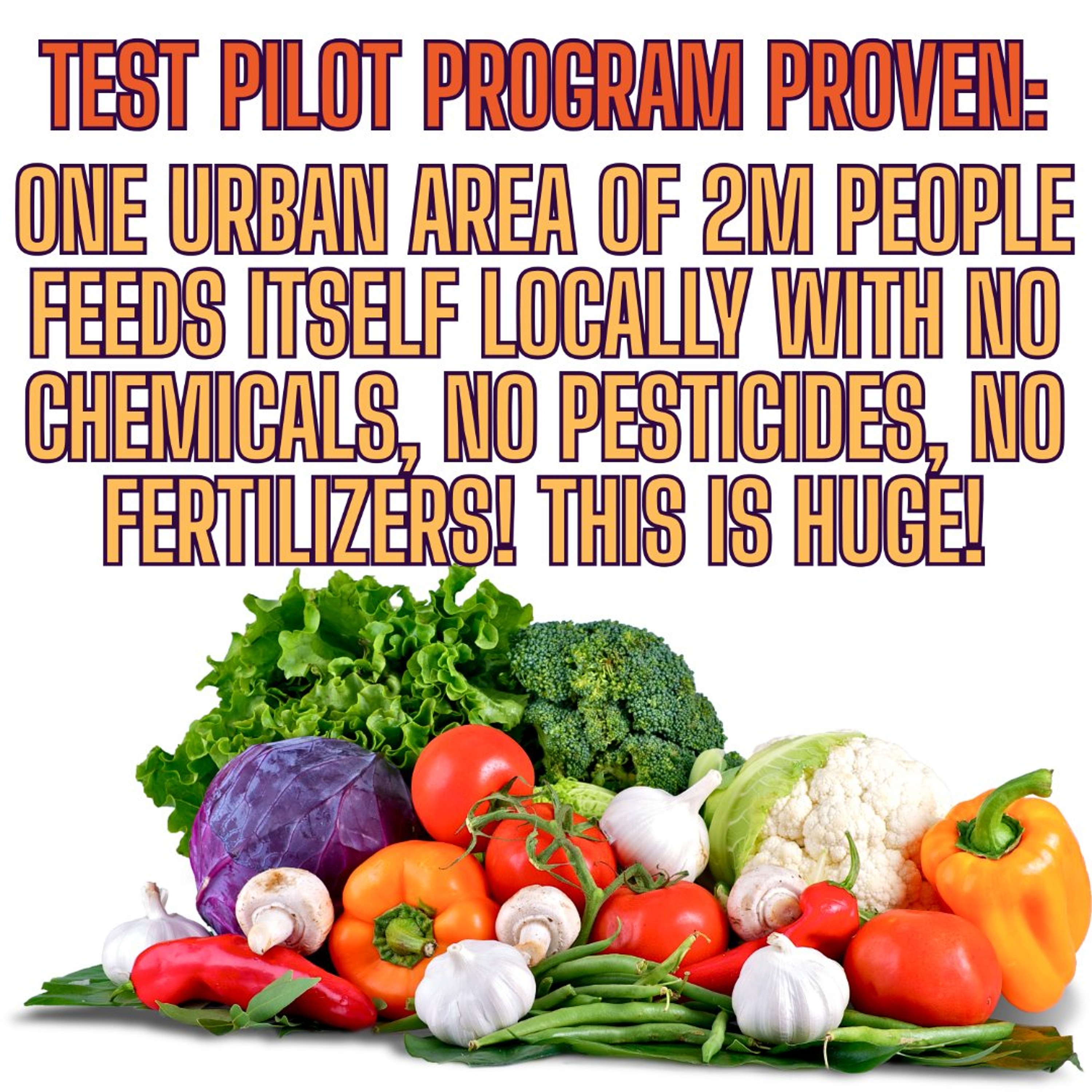 Feeding One City Of 2M People With No Chemicals, No Pesticides and ALL ORGANIC!