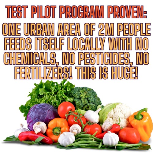 Feeding One City Of 2M People With No Chemicals, No Pesticides and ALL ORGANIC!