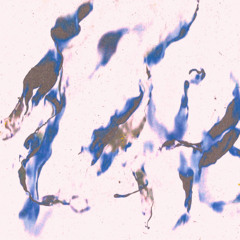 Premiere : Sonn Ten - Fuery (F4T20)