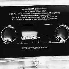 CAMOMANE, PHONKMASTA - MAKING STANG (TAPE RIP)