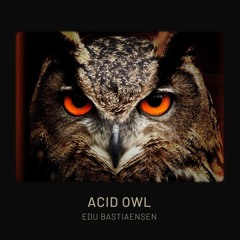 Edu Bastiaensen - Acid Owl