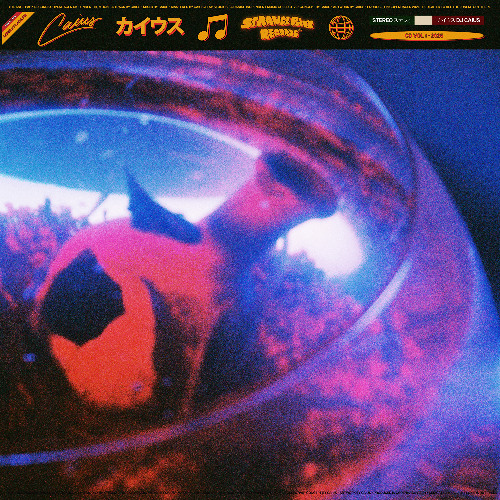 Under The Moon
