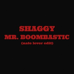 Shaggy - Mr Boombastic (nate lever edit)
