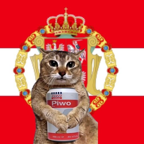 piwo hardstyle low quality