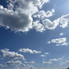 💫 wish u didn’t . . .