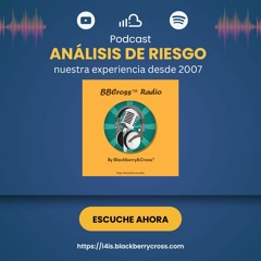 Riesgo  Lo Que Aprendimos Desde Basilea II A La Fecha.MP3