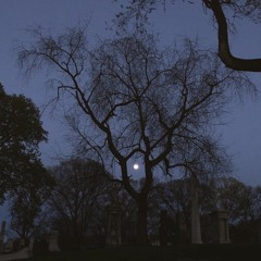 cold carti - ты не сможешь помочь мне (Gothbenz rmx)