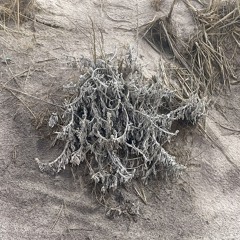 in the ropes (Prod. Frevel)