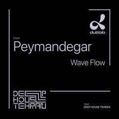 Wave Flow 04 - Peymandegar [Deep House Tehran X Dublab]