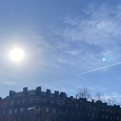 Black Country, New Road - Basketball Shoes (Live At The Queen Elizabeth Hall)