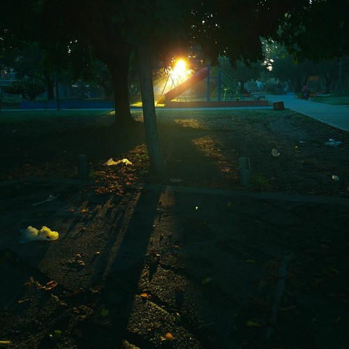 vision w/ @lippesito