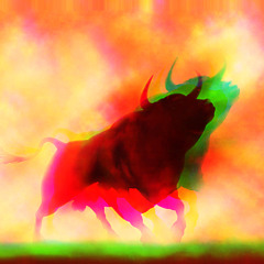 MESS WITH THE BULL / LDSR 222
