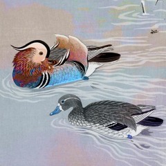 ÖND 18/04/2020 SPMDJ