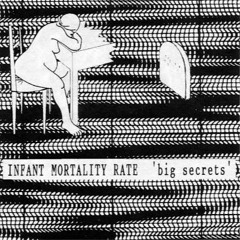 Conatus by Infant Mortality Rate from 'big secrets' CDR (2004)