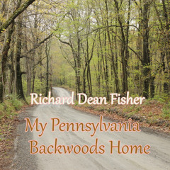 My Pennsylvania Backwoods Home