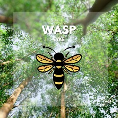 Wasp