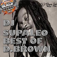 DJ SUPALEO BEST OF D. BROWN.MP3