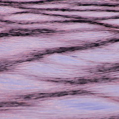 Brevis & Roasty Suave - Anymore (feat. Holly Terrens) // sped up