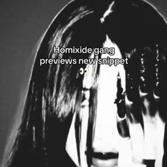 Homixide Gang - Can't Stop [Snippet]  #homixidegang