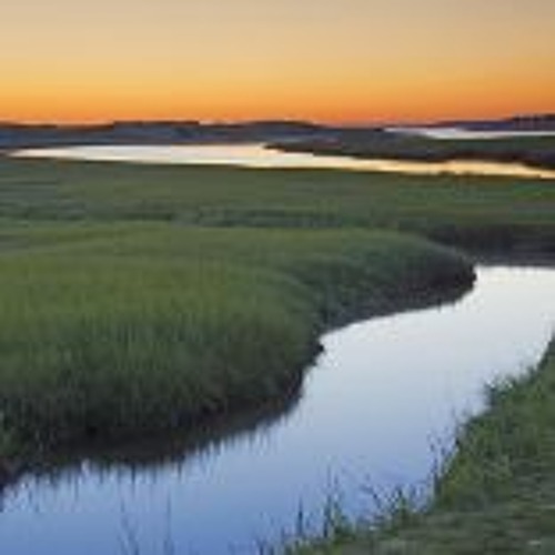 أيها الرب إله القوات