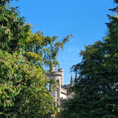 There Is A Light And It Never Goes Out - The Smiths Cover