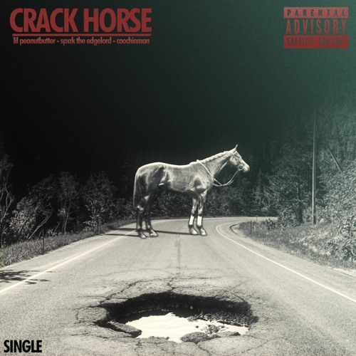 CRACK HORSE .  crack horse