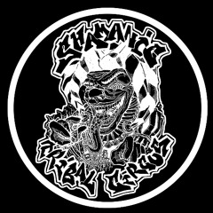 Tribe in den Morgen || Vinyl Setcut || Hardtekno/Raggatek/Tribecore