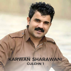Chavi Land (feat. Barham Shamami)