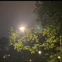 ночной порыв