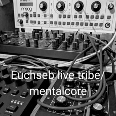 Dlitres2rhum live tribe/mentalcore