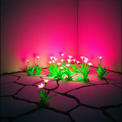 The Ones Who Still Speak