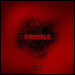 Fossils