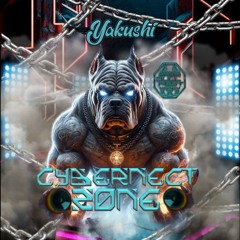 Cybernect Zone 3.0