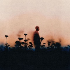 never change (feat. Piscesbaby) (prod. Sarcastic Sounds)