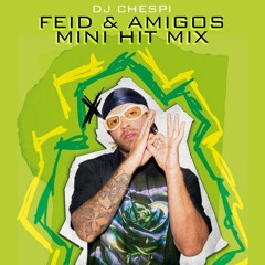 DJ CHESPI - FEID Y AMIGOS MINI HIT MIX
