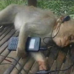 Perder Ft Rusio Baby, Niqo(Prod R'Oses)