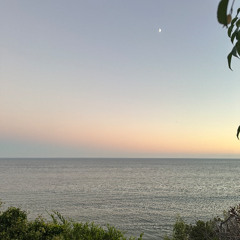 Revellers x Carpe Diem (Ross from Friends x Grims.)