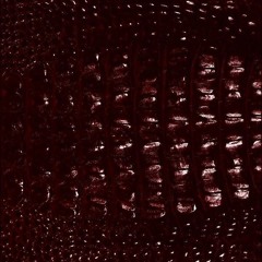 Criss Blaziny - Îmi pasă până nu-mi mai pasă