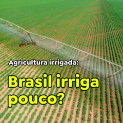 Agricultura irrigada: Brasil irriga pouco?