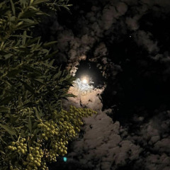 ياحبيبي وينك انت ؟