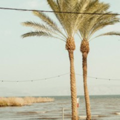 DJ Baraku - Luna Dance - KINNERET Beach Sep. 2023