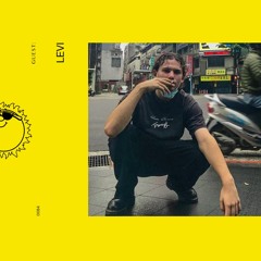 Sounds Like A Good Mixtape- Levi. [CLIPPMIX084]