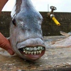 Whats poppin' this is schemebeats. I'll shove 3 clubsoda bottles up my ass_20231120