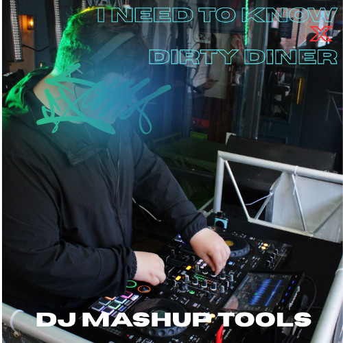 I Need To Know x Dirty Diner - Zeds DJ Mashup Tools (FREE DL)