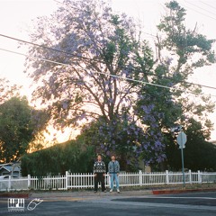 The Garden