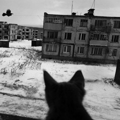 Скучаю