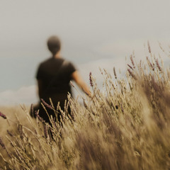 Befriending the Spirit (Pentecost)