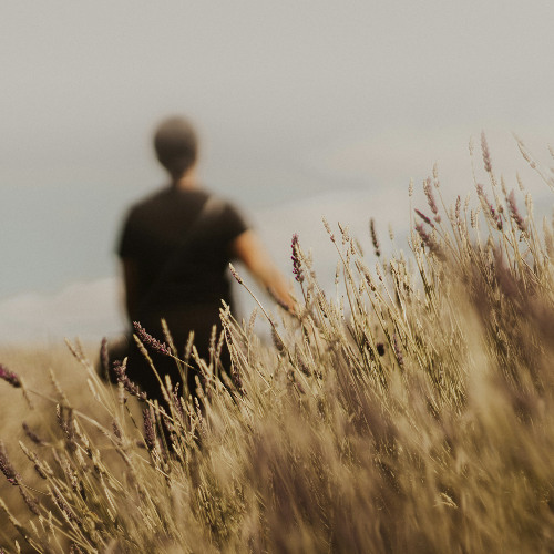 Befriending the Spirit (Pentecost)